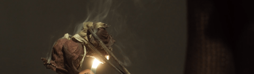 Los Cogollos - Octavio Gasca