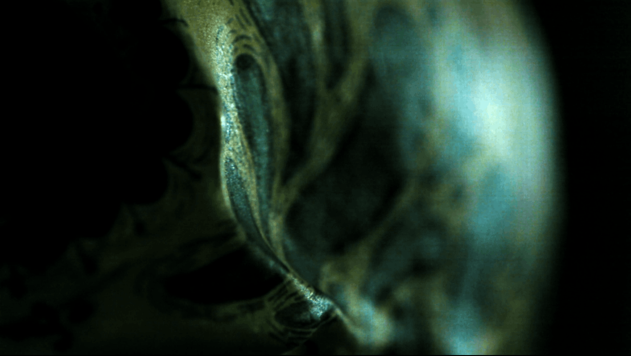 Ciudad luz, 2012 documental Octavio Gasca