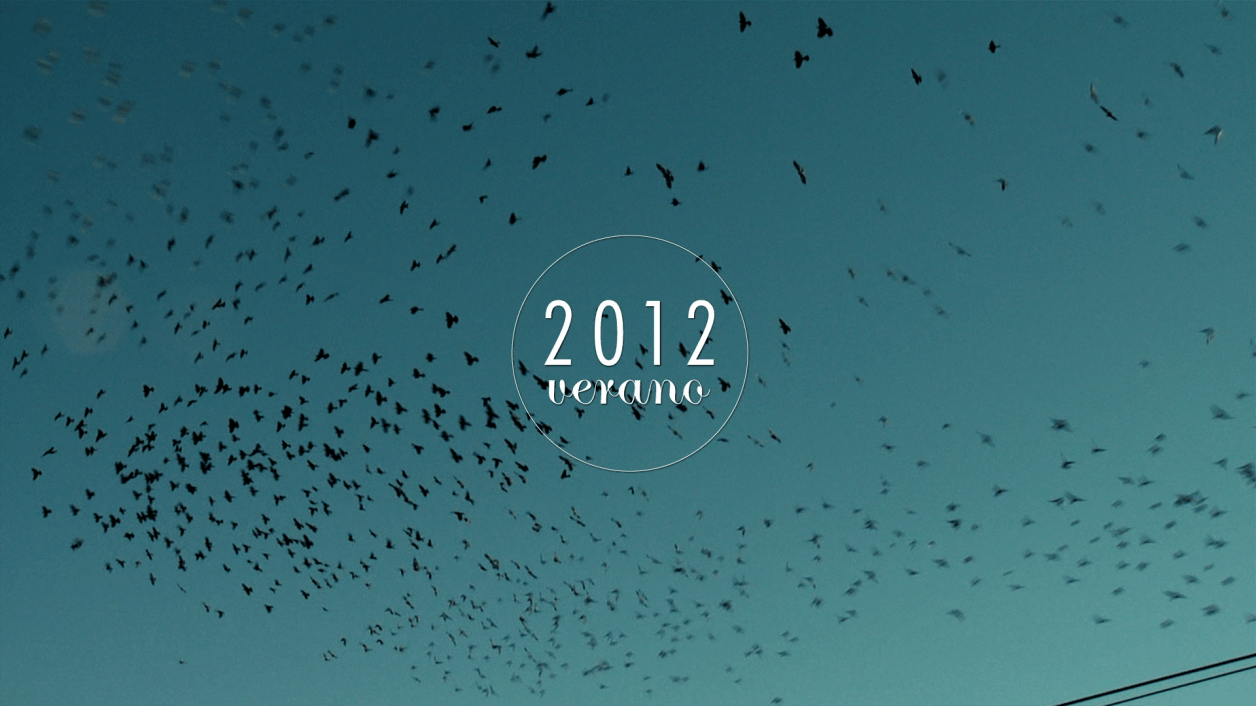 La guerra no oficial, Ciudad luz documental