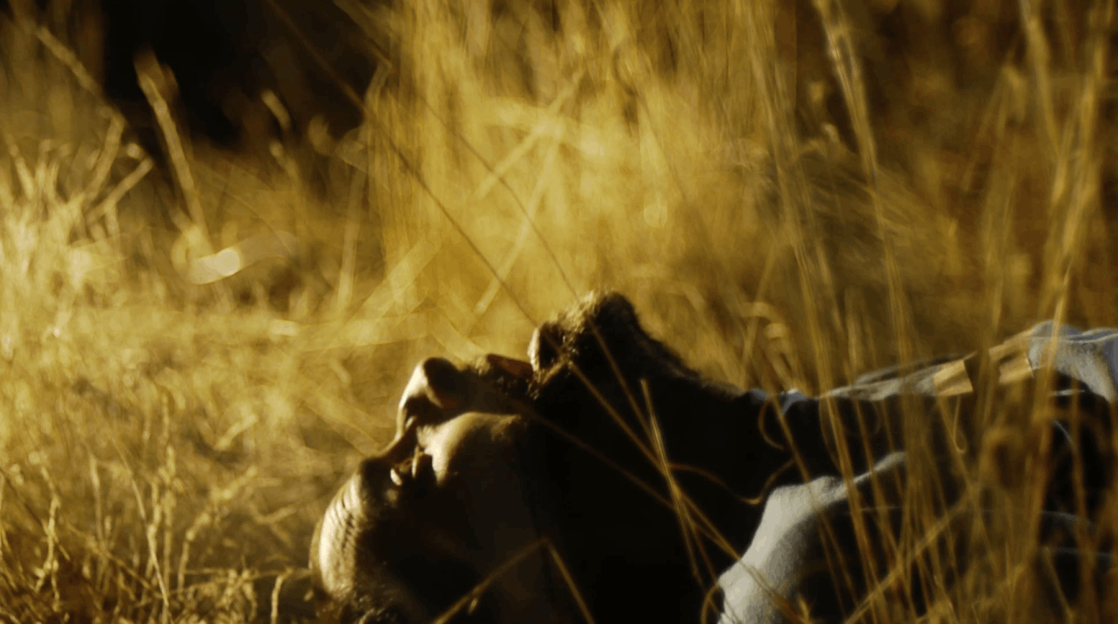 Después del azul, largometraje 2018