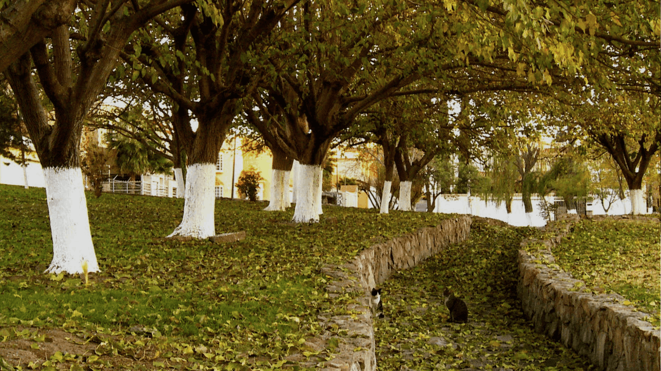 Documental de Octavio Gasca